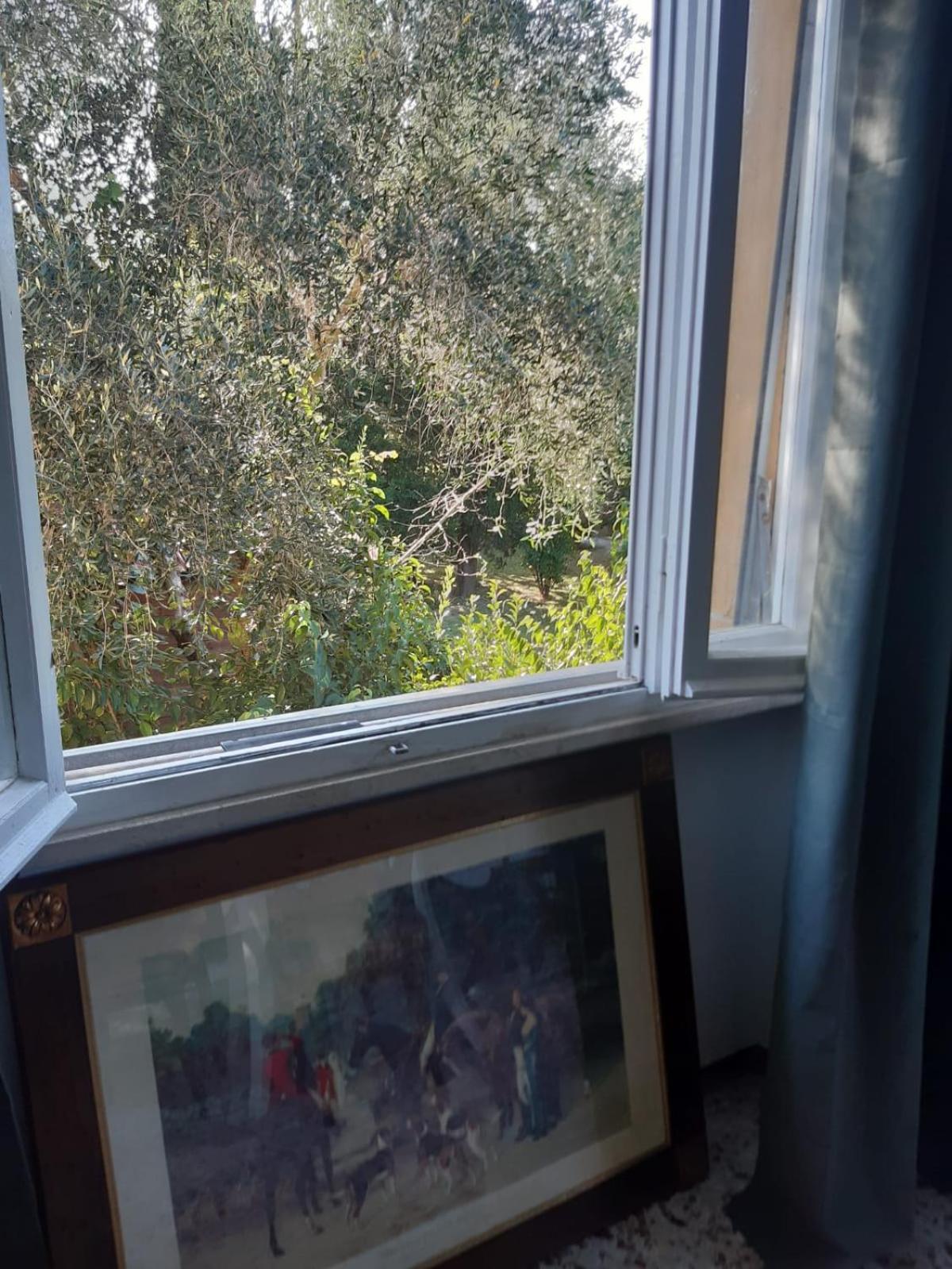 Appartement Sauro 43 à Pise Extérieur photo